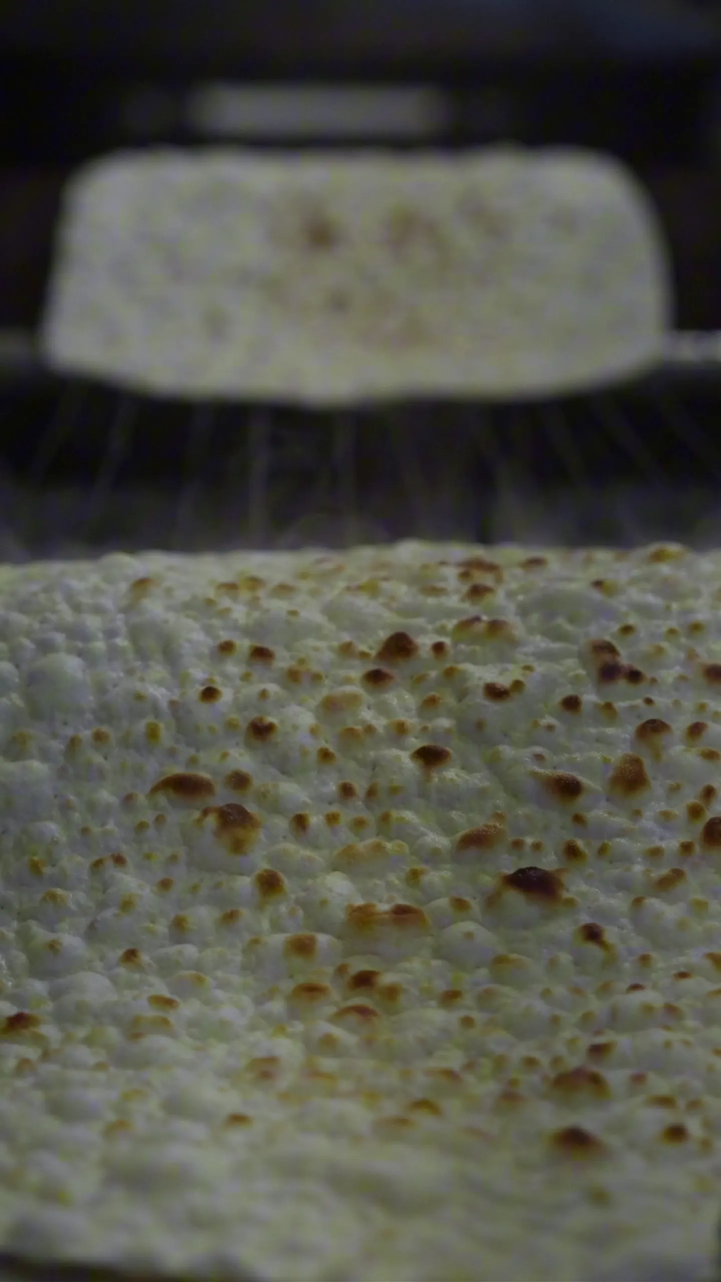 Bakery & pastry